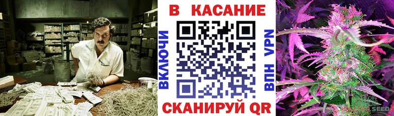 Продажа наркотиков Пустошка Кокаин  МЕФ  Гашиш 