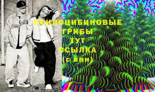 spice Алексеевка